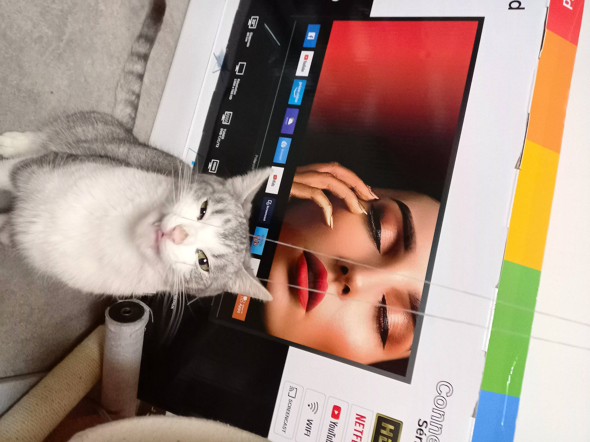 Lili participe au concours pour gagner de l'argent avec cette photo : art, box, carnivore, cat, communication_device, display_device, domestic_short_haired_cat, electronic_device, eyelash, felidae, font, fur, gadget, laptop, multimedia, output_device, publication, small_to_medium_sized_cats, tail, whiskers