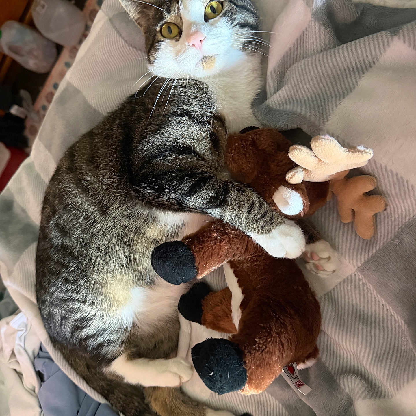Milo