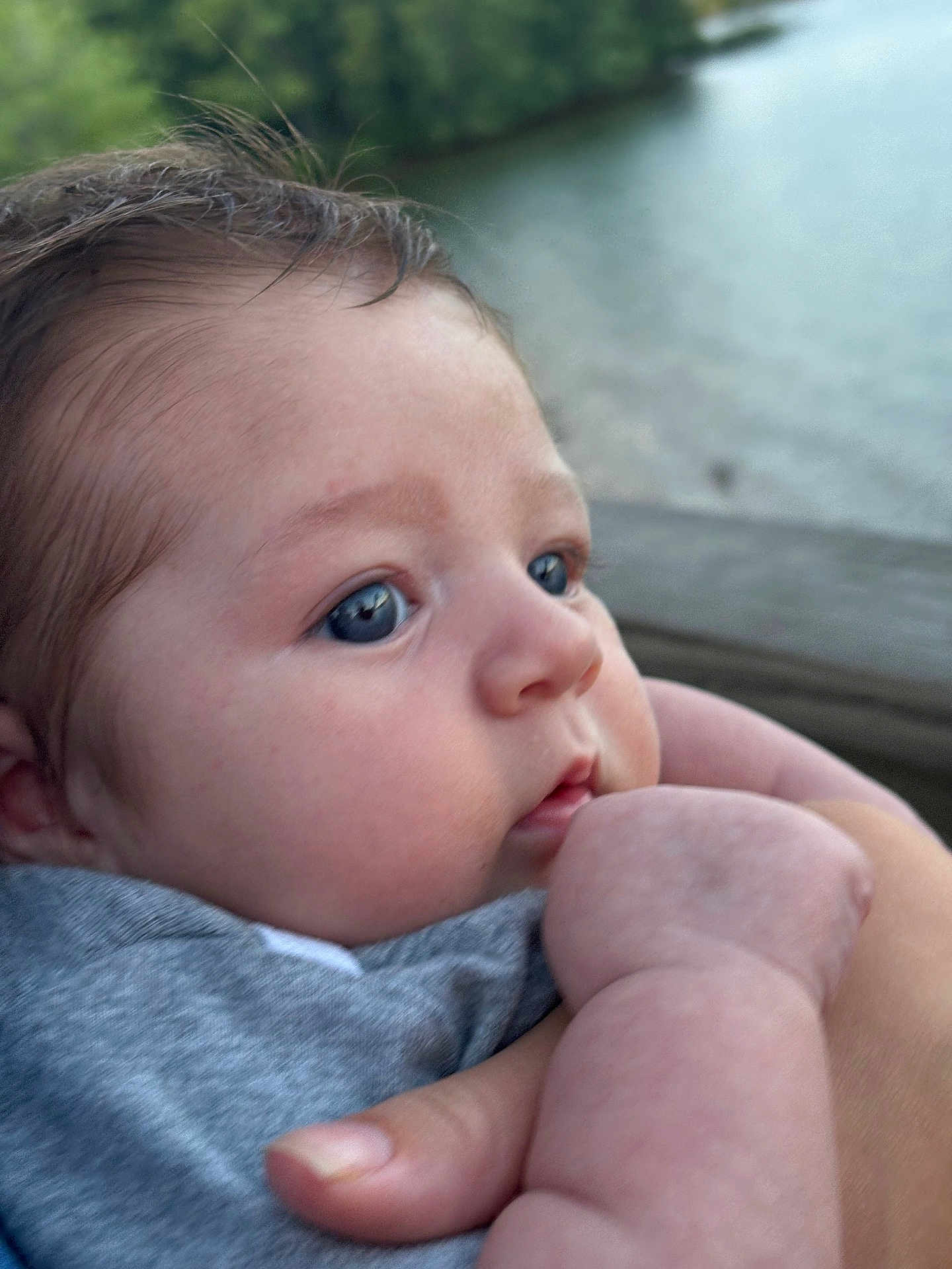 Oliver is registered to the contest to win money with this photo: baby, closeup, face, blue_eyes, hand, infant, skin, person, outdoor, nature, portrait, cute, young, child, holding, expression, soft_light, natural_background, human, newborn