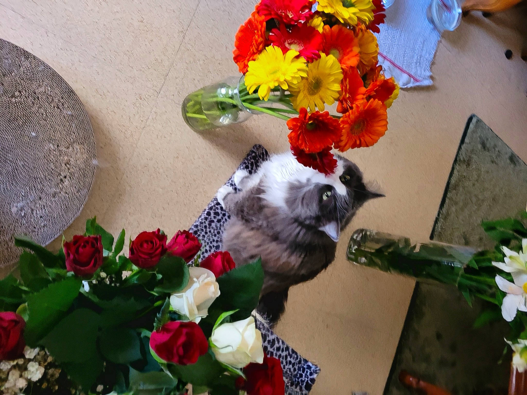 Jade a rejoint le concours — aidez-le/la à gagner de superbes lots ! annual_plant, art, artificial_flower, botany, bouquet, carmine, creative_arts, cut_flowers, event, floral_design, floristry, flower, flower_arranging, flowering_plant, herbaceous_plant, petal, plant, rose, rose_family, spring