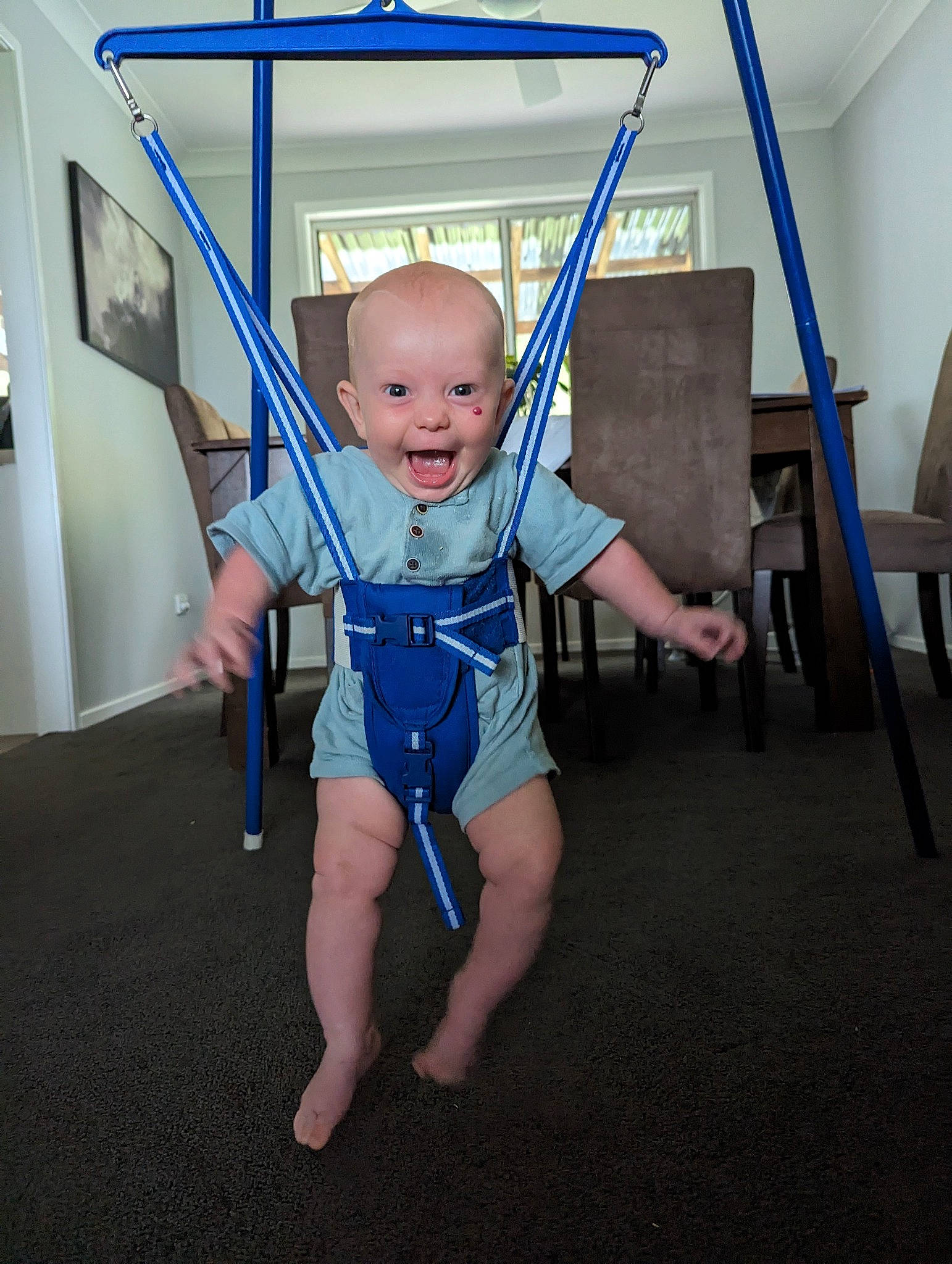 Milo joined the competition — help win amazing prizes! baby, baby_toddler_clothing, chair, chest, child, elbow, electric_blue, event, flooring, foot, fun, human_leg, leisure, person, recreation, smile, thumb, toddler, vacation