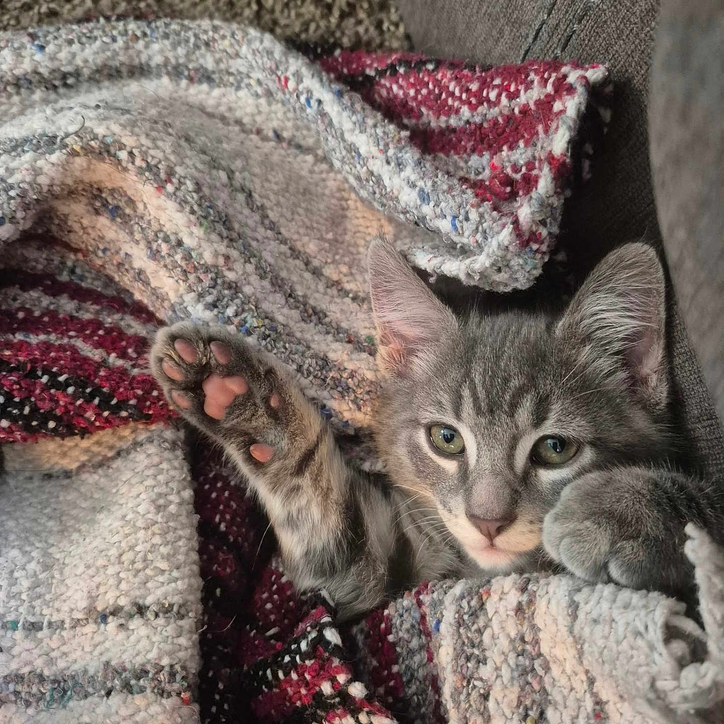 Jax
