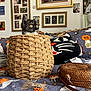 alert, basket, bedspread, black, cat, cat_pillow, cozy, curious, decor, fabric, feline, framed_art, home, indoor, orange, pattern, room, wall_art, white, woven
