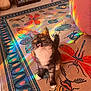 cat, tuxedo_cat, indoor, rug, colorful, insects, pattern, rainbow_light, reflection, curious, pet, floor, decor, artwork, painting, wood_floor, furniture, mushroom_decor, cozy, bright