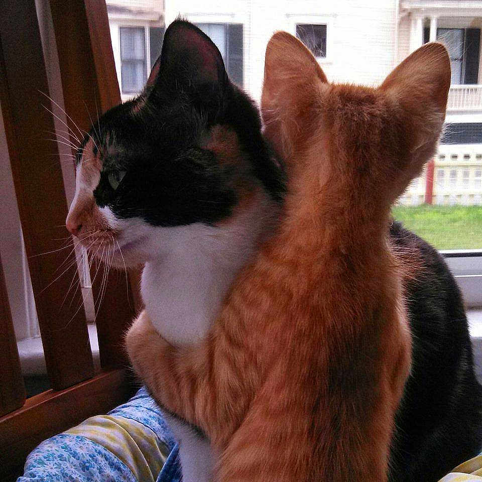 Monique Amp Moses is registered to the contest to win money with this photo: