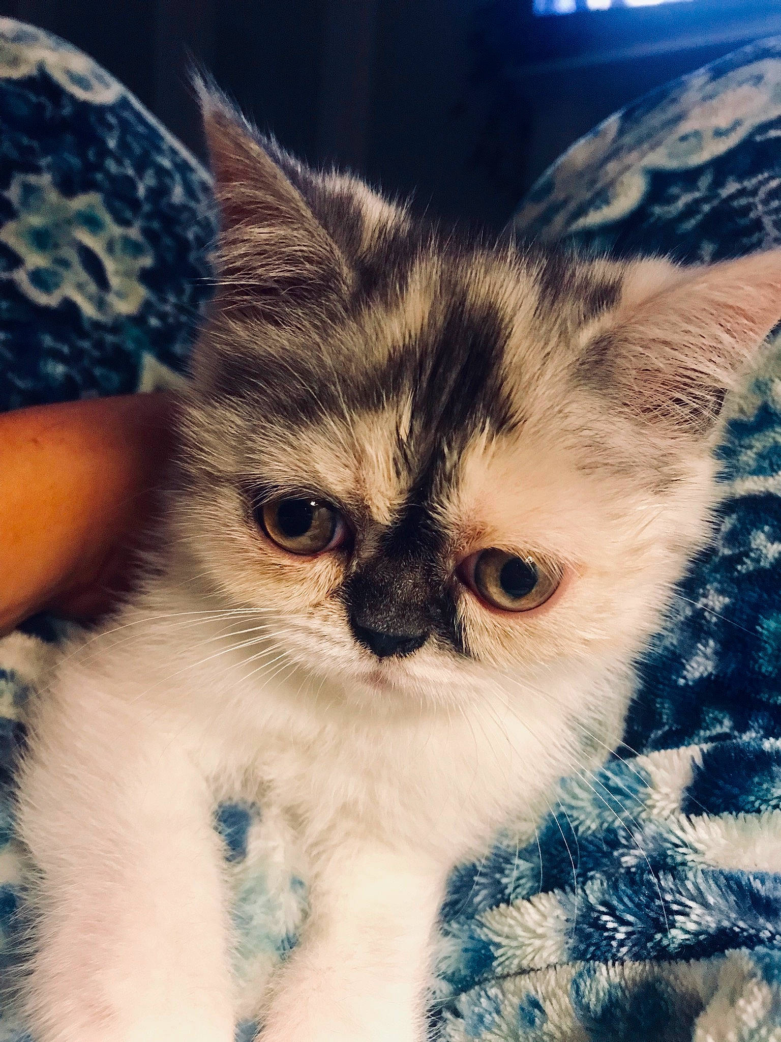 Pearl joined the competition — help win amazing prizes!