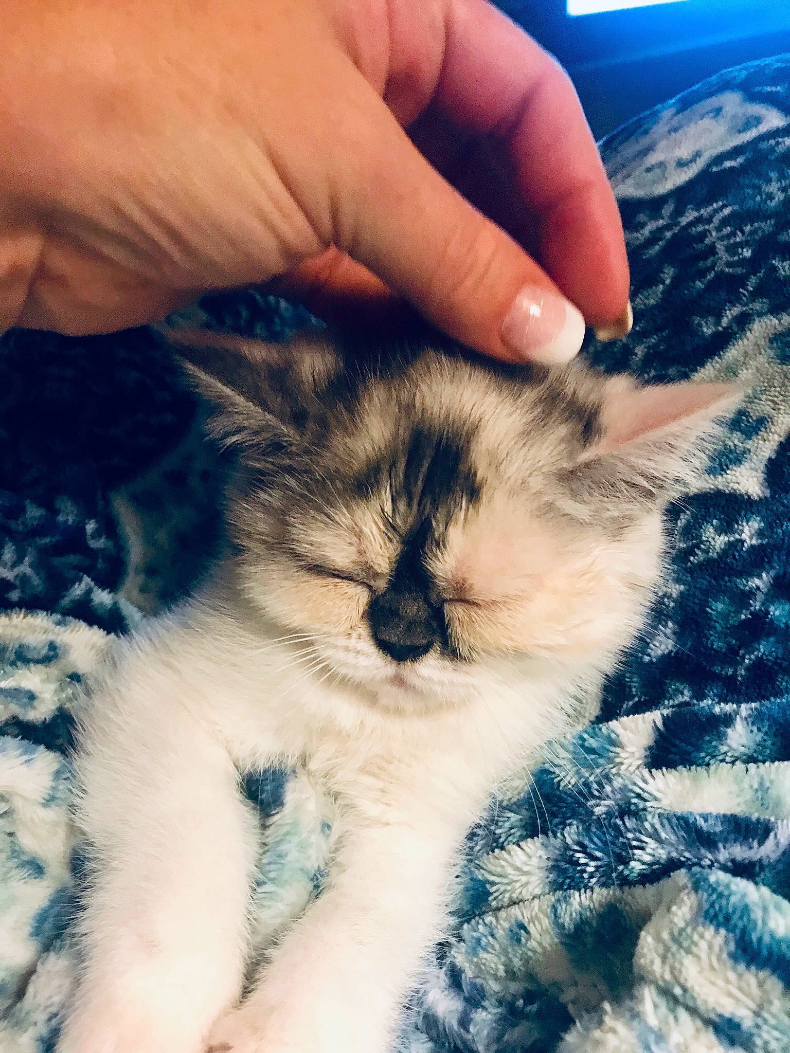 Pearl is registered to the contest to win money with this photo: