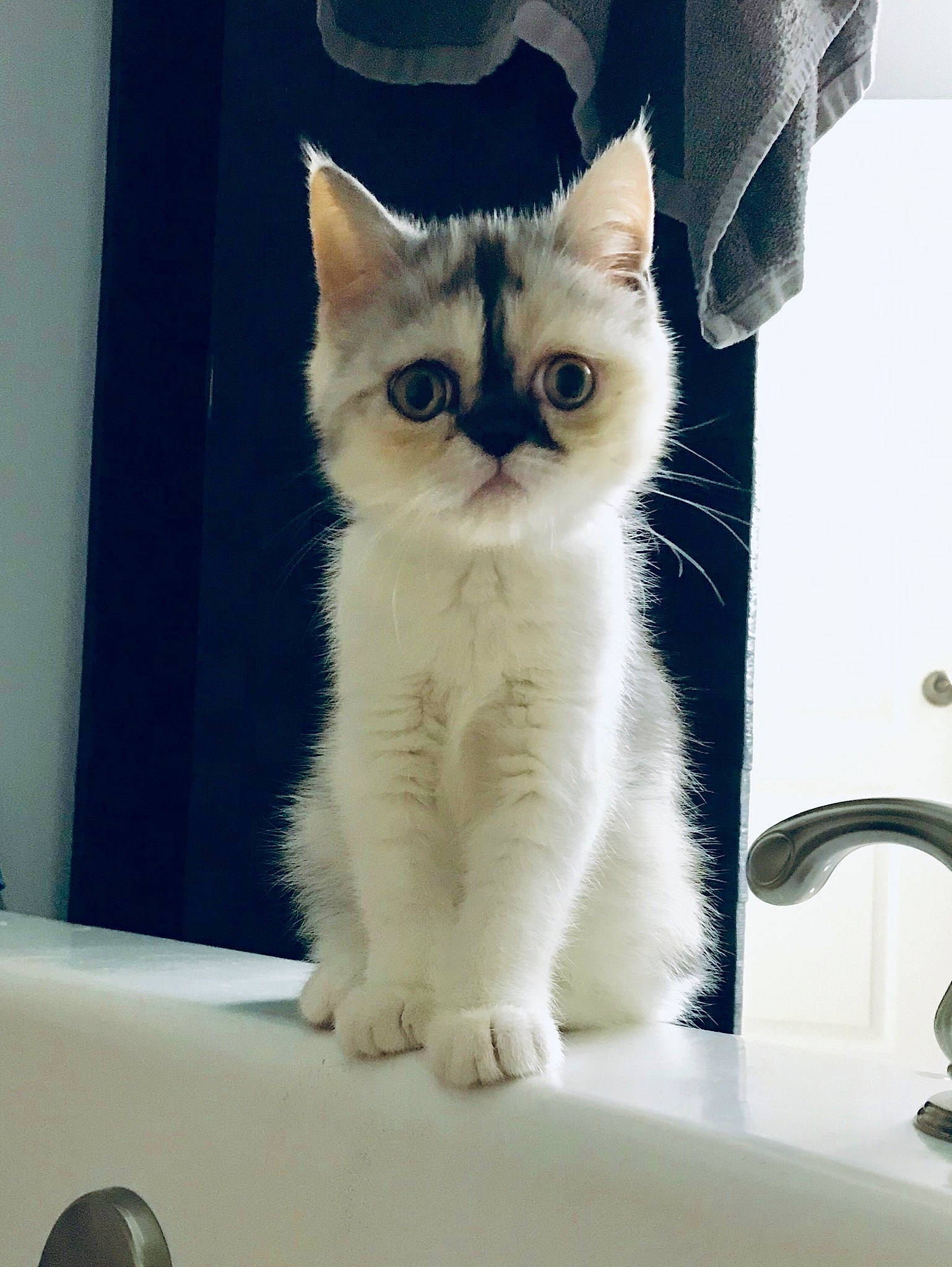 Pearl is registered to the contest to win money with this photo: