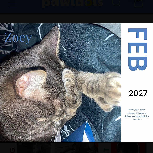 Zoey is registered to the contest to win money with this photo: cat, tabby_cat, paw, sleeping, feline, pet, animal, calendar, february, text_overlay, indoor, resting, cozy, closeup, cute, fur, whiskers, ear, blue, fabric