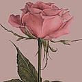 Eloise W.