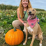 Murphy is registered to the contest to win money with this photo: woman, dog, pumpkin, bandana, grass, field, outdoor, smiling, red_hair, green_top, pants, nature, pets, animal, happy, fall, seasonal, sky, plant, portrait