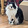 Fluffy