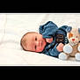 baby, infant, blue_clothing, plush_toy, stuffed_animal, blanket, lying_down, face, head, cute, child, newborn, soft_light, indoors, portrait, small_toy, cozy, person, baby_garment, resting
