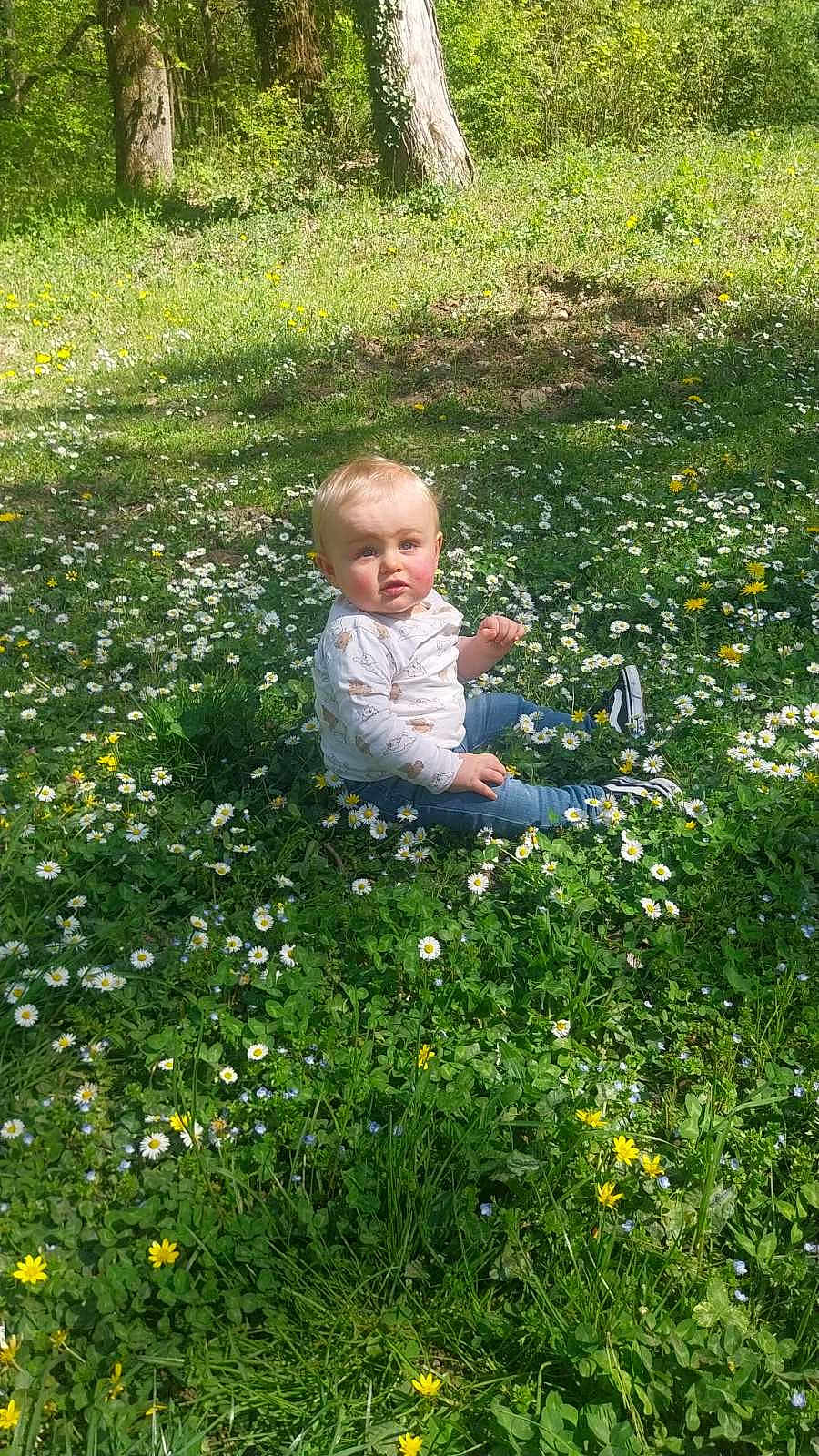 Rémy a rejoint le concours — aidez-le/la à gagner de superbes lots ! toddler, child, outdoor, grass, wildflowers, meadow, nature, greenery, trees, sunlight, sitting, cute, casual_clothing, blue_jeans, sneakers, expression, daylight, flora, spring, park