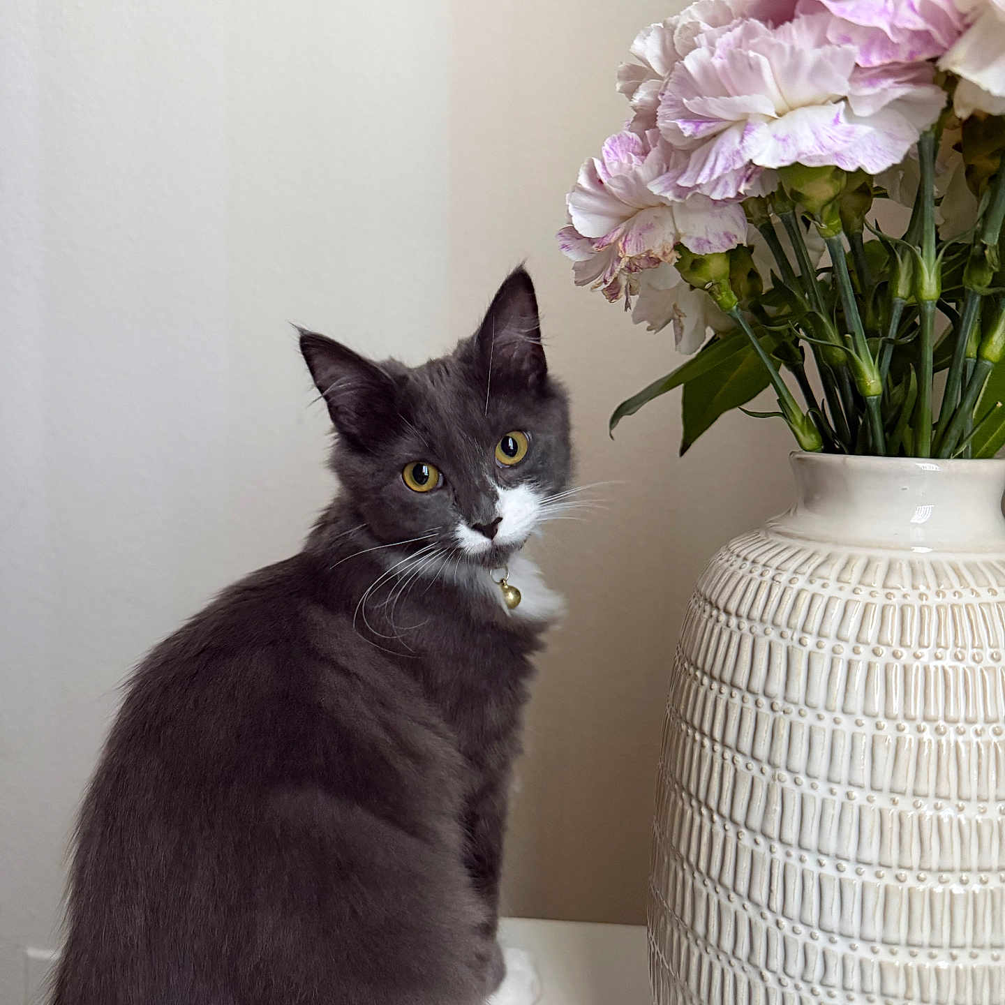 Cleo
