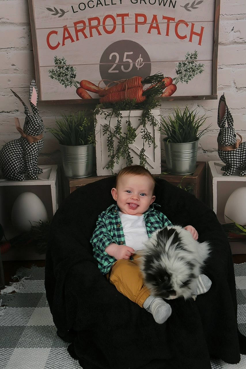 Kooper joined the competition — help win amazing prizes! cairn_terrier, canidae, child, dog_breed, home, joy, lhasa_apso, person, shih_tzu, sitting