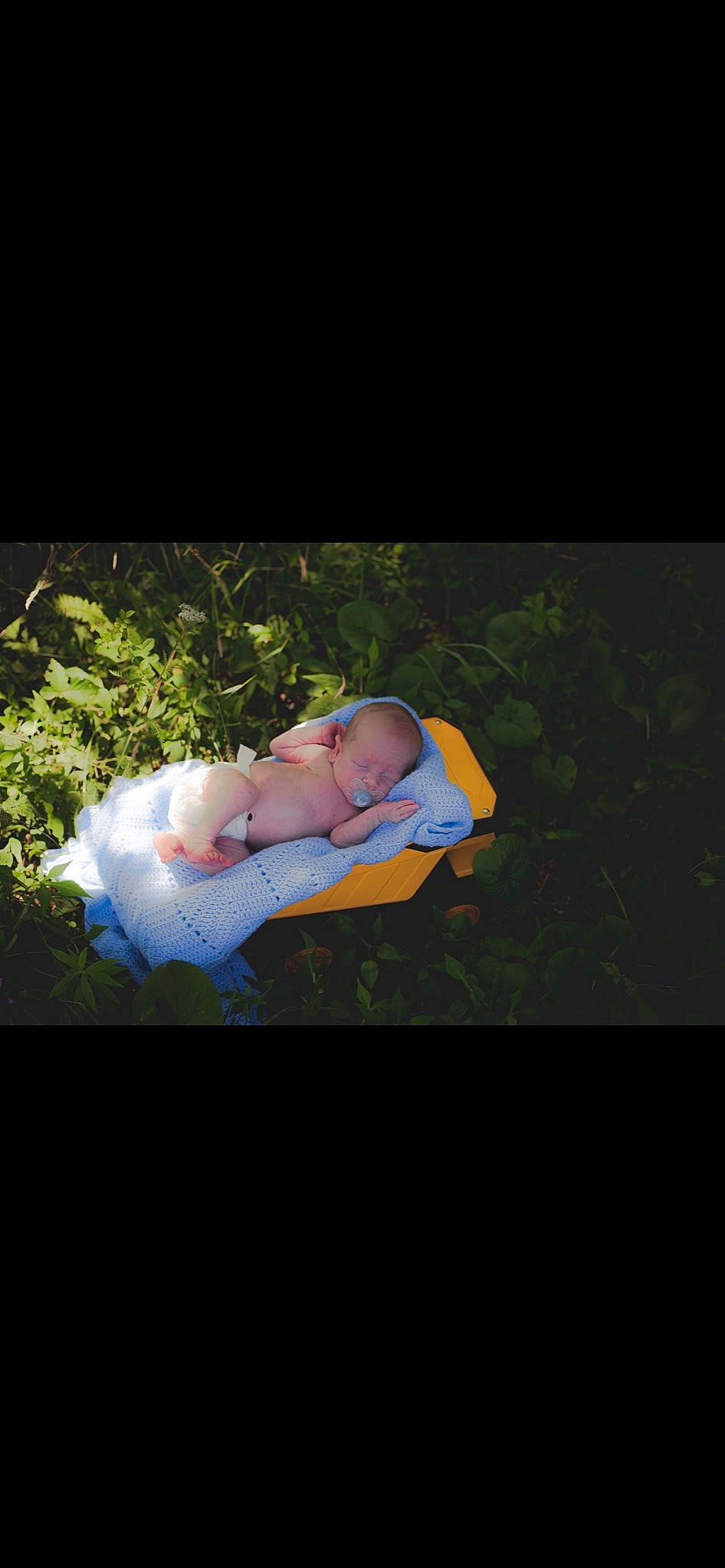 Owen