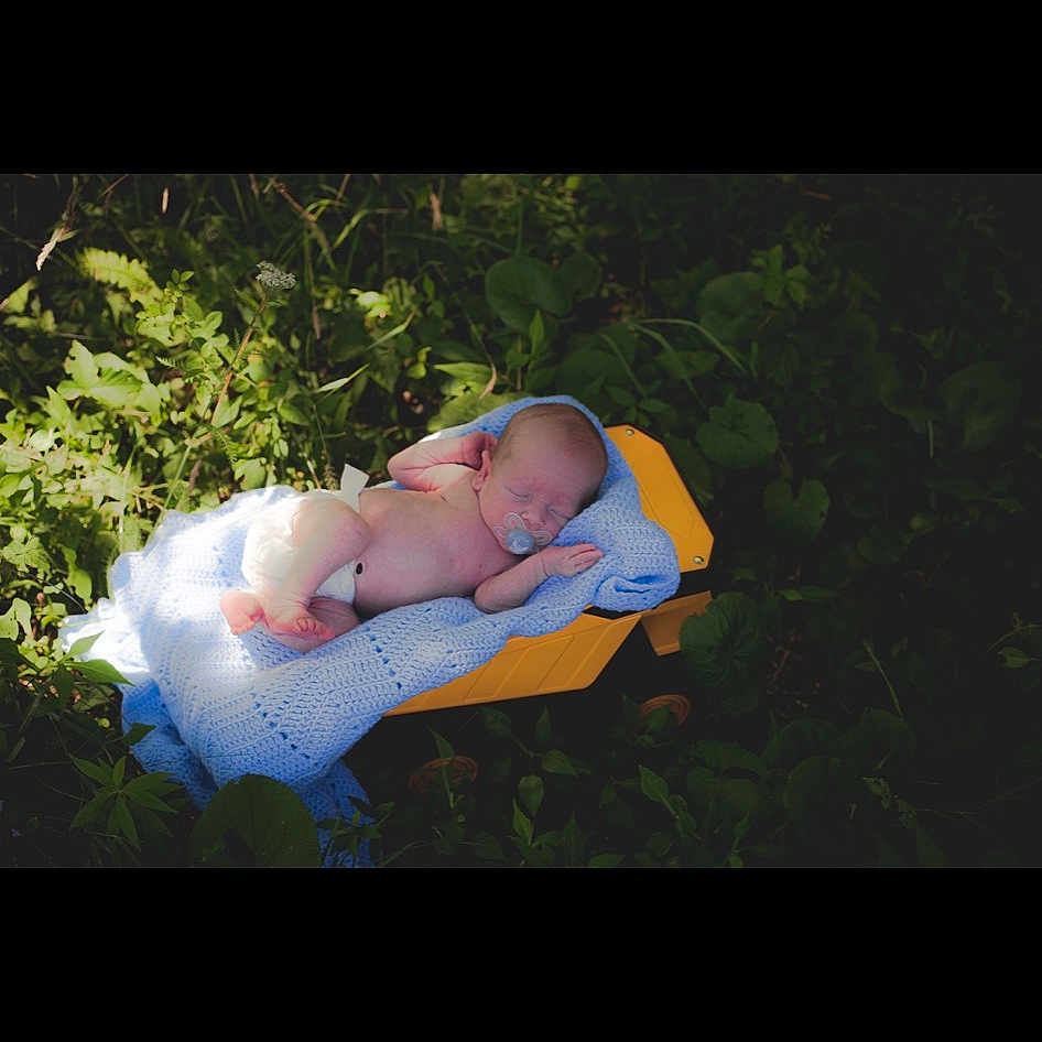 Owen