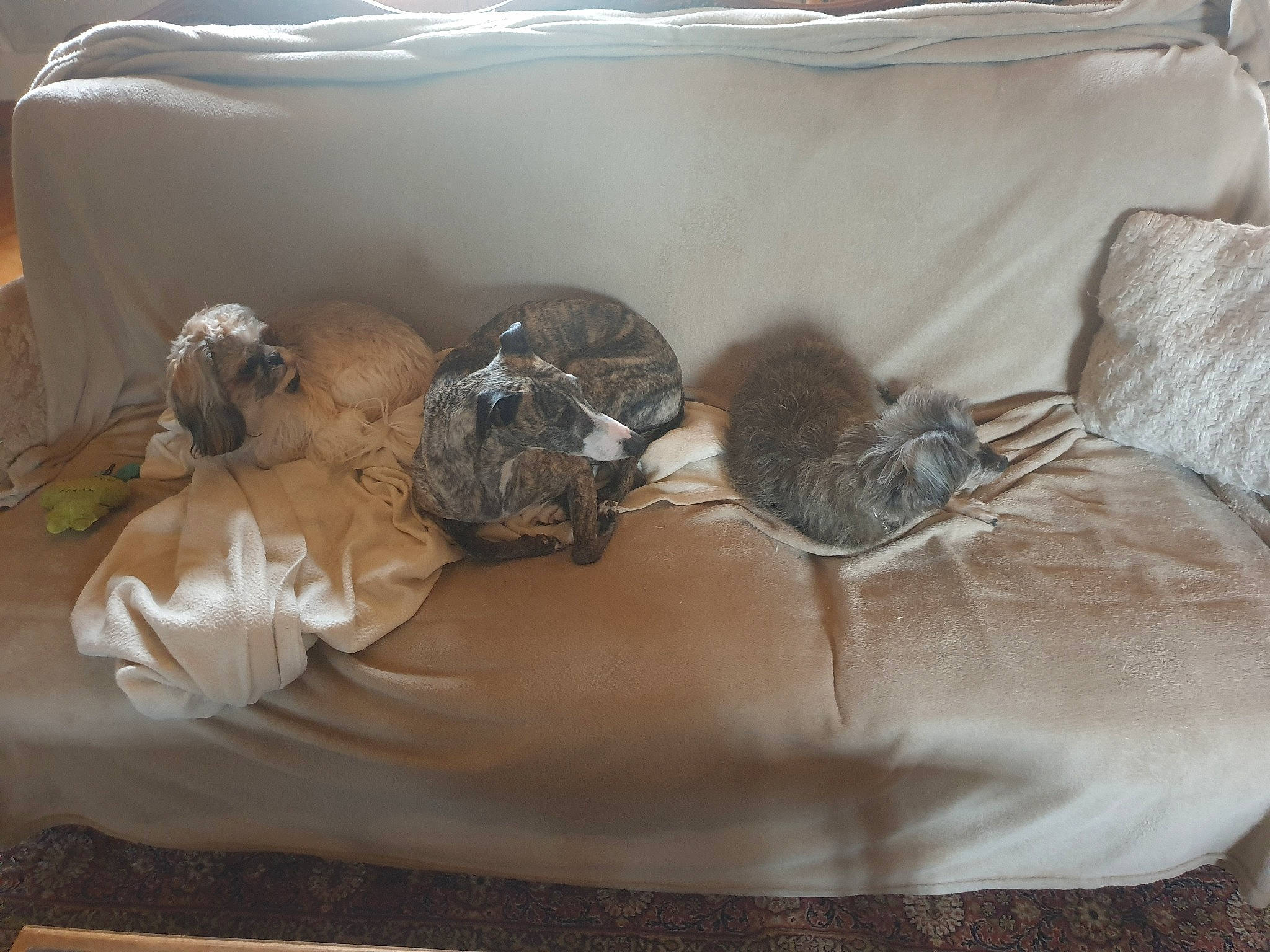 Loïs participe au concours pour gagner de l'argent avec cette photo : artificial_flower, bird_nest, comfort, cut_flowers, fashion_accessory, feather, flower_arranging, grey, home_accessories, linens, metal, ornament, room, serveware, silver, still_life_photography, table, tableware, twig, wood