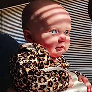 Brooklyn joined the competition — help win amazing prizes! baby, child, infant, blue_eyes, bald_head, sunlight_stripes, venetian_blinds, leopard_print_clothing, blanket, hand, portrait, indoor, cheeks, gaze, soft_skin, tiny_hands, high_contrast_lighting, shadow_pattern, close_up, cute