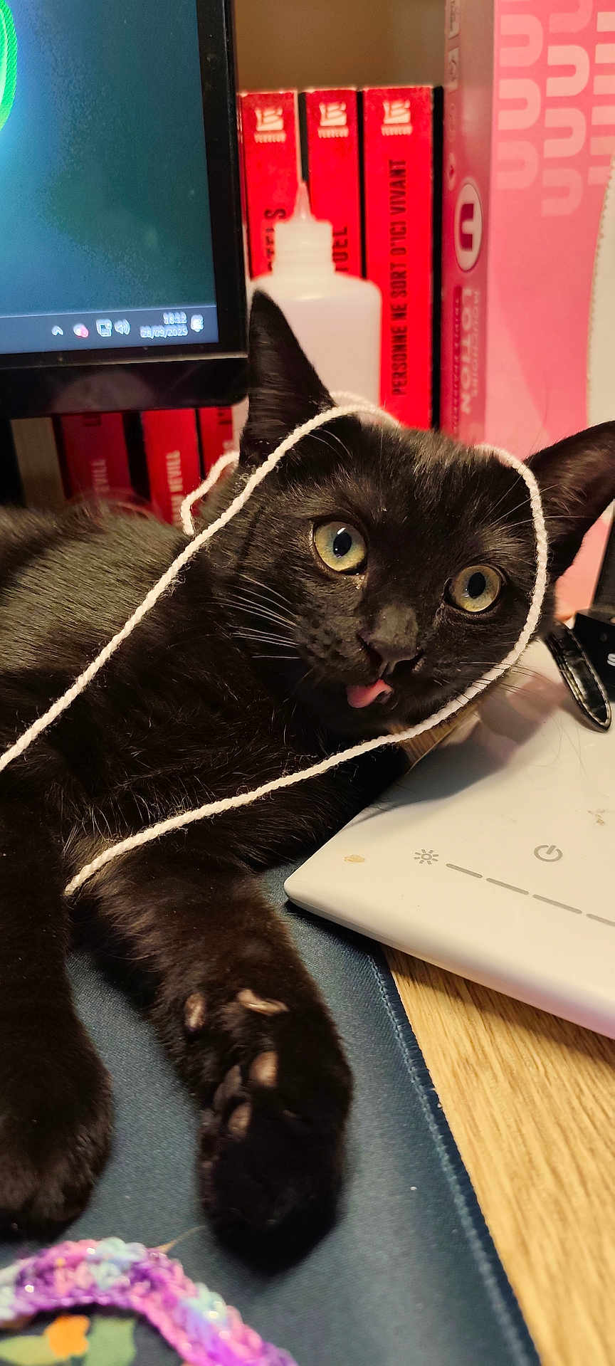 Morpheus