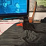 Chaussettes a rejoint le concours — aidez-le/la à gagner de superbes lots ! cat, black_cat, bed, blanket, television, tv_screen, movie, guitar, poster, room, indoor, furniture, relaxing, watching, entertainment, animal, pet, dark, orange_object, wooden