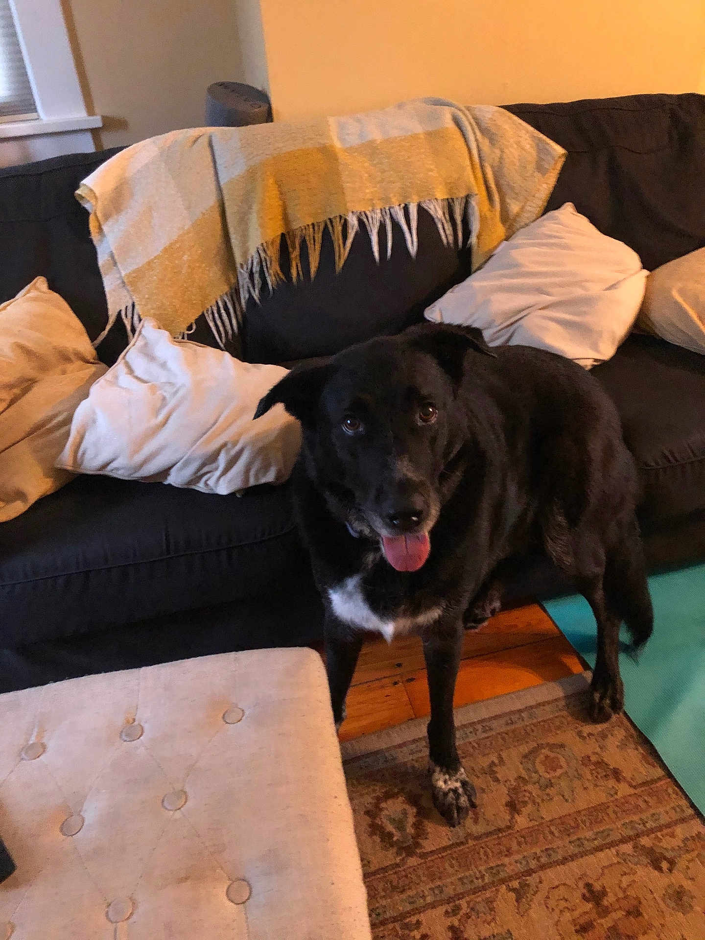 Max