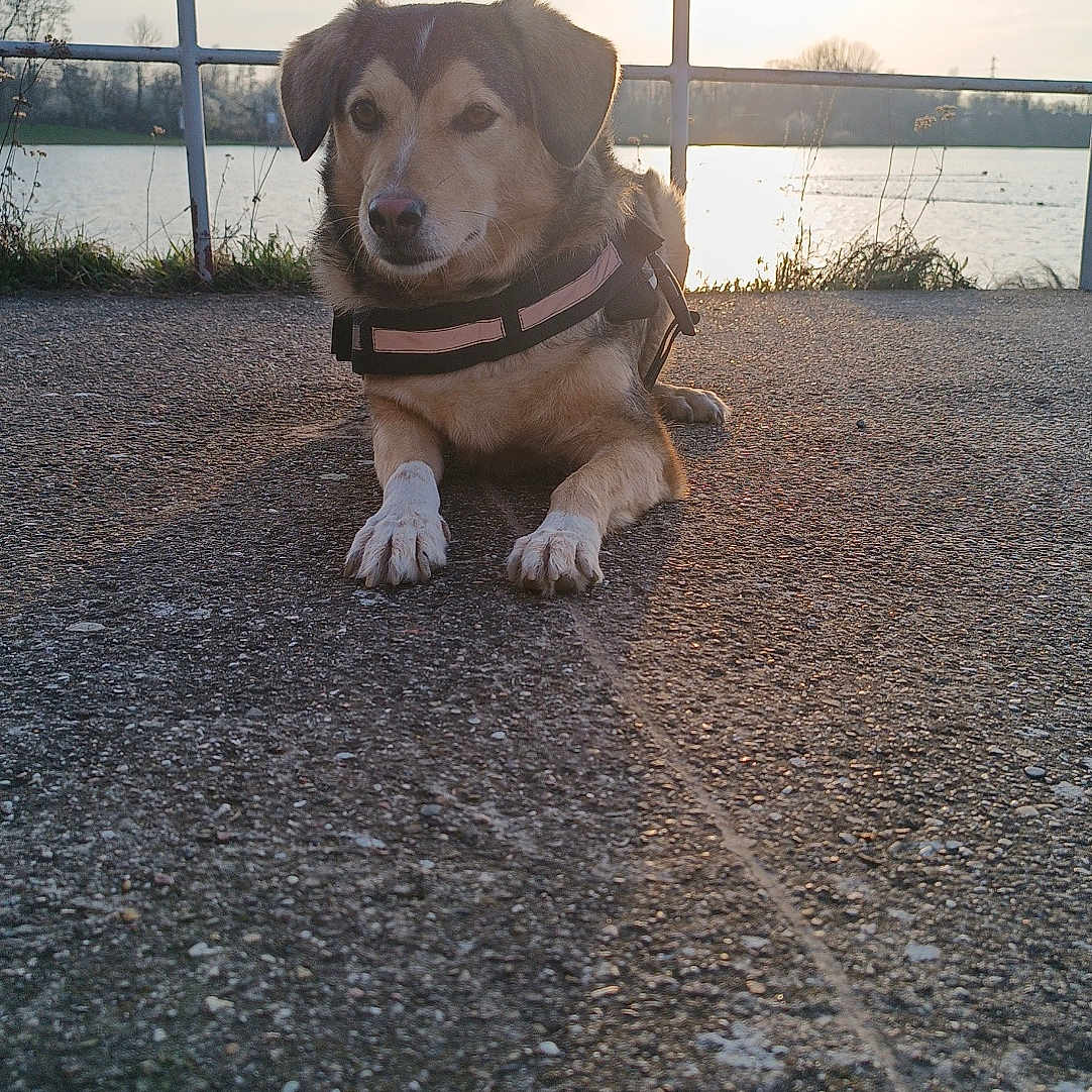 Maggie