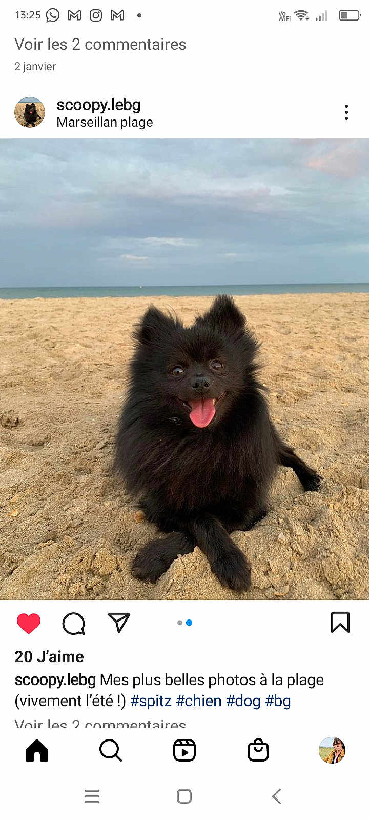 Scoop participe au concours pour gagner de l'argent avec cette photo : dog, black_dog, beach, sand, happy, tongue_out, outdoor, pet, animal, smiling, fluffy, canine, nature, sea, sky, cloudy, cute, sitting, small_dog, spitz