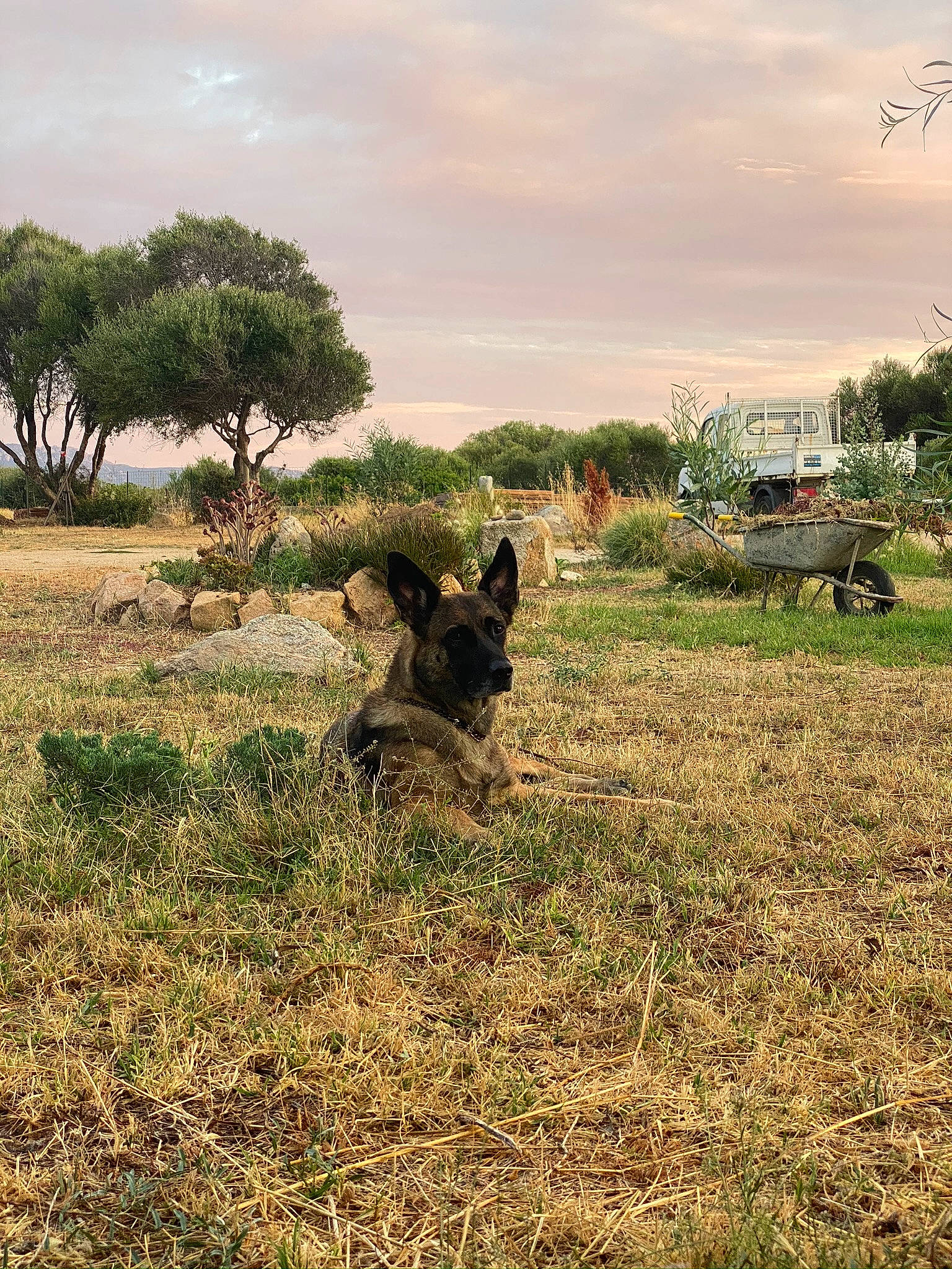 June a rejoint le concours — aidez-le/la à gagner de superbes lots ! agriculture, army, cloud, fawn, grass, grassland, landscape, marines, meadow, military_camouflage, military_organization, natural_landscape, people_in_nature, plain, plant, prairie, sky, soldier, terrestrial_animal, tree