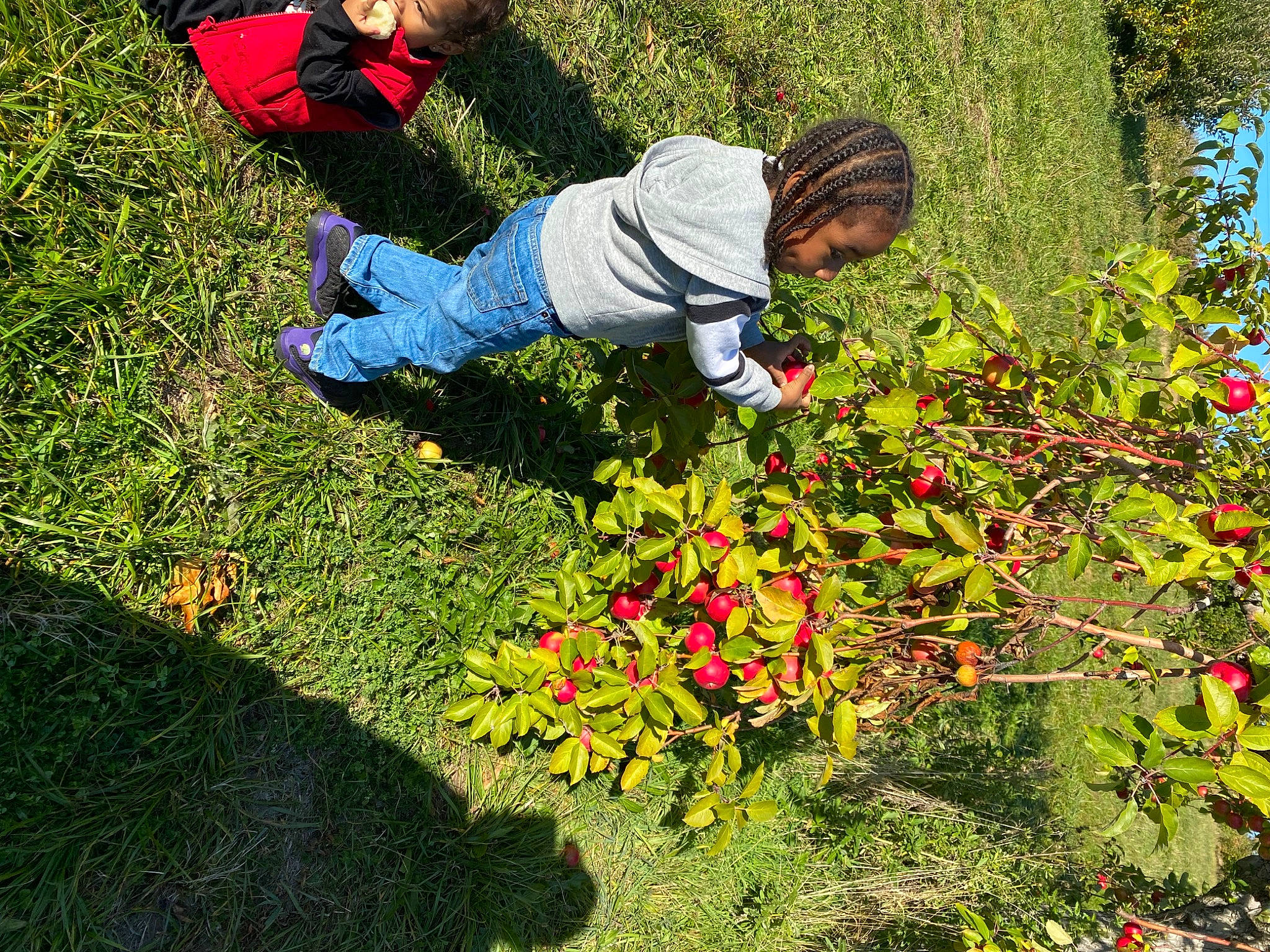 Carlos is registered to the contest to win money with this photo: annual_plant, flower, flowering_plant, garden, grass, grass_family, grassland, groundcover, happy, jeans, landscape, lawn, leisure, meadow, natural_landscape, people_in_nature, person, petal, plant, shrub
