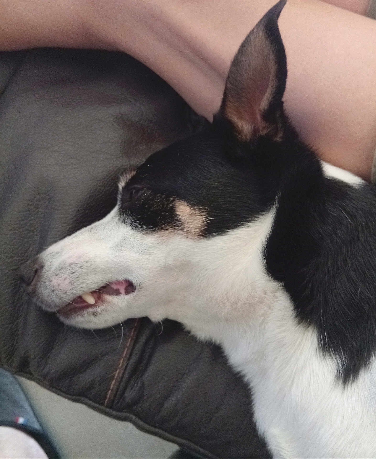 Miko