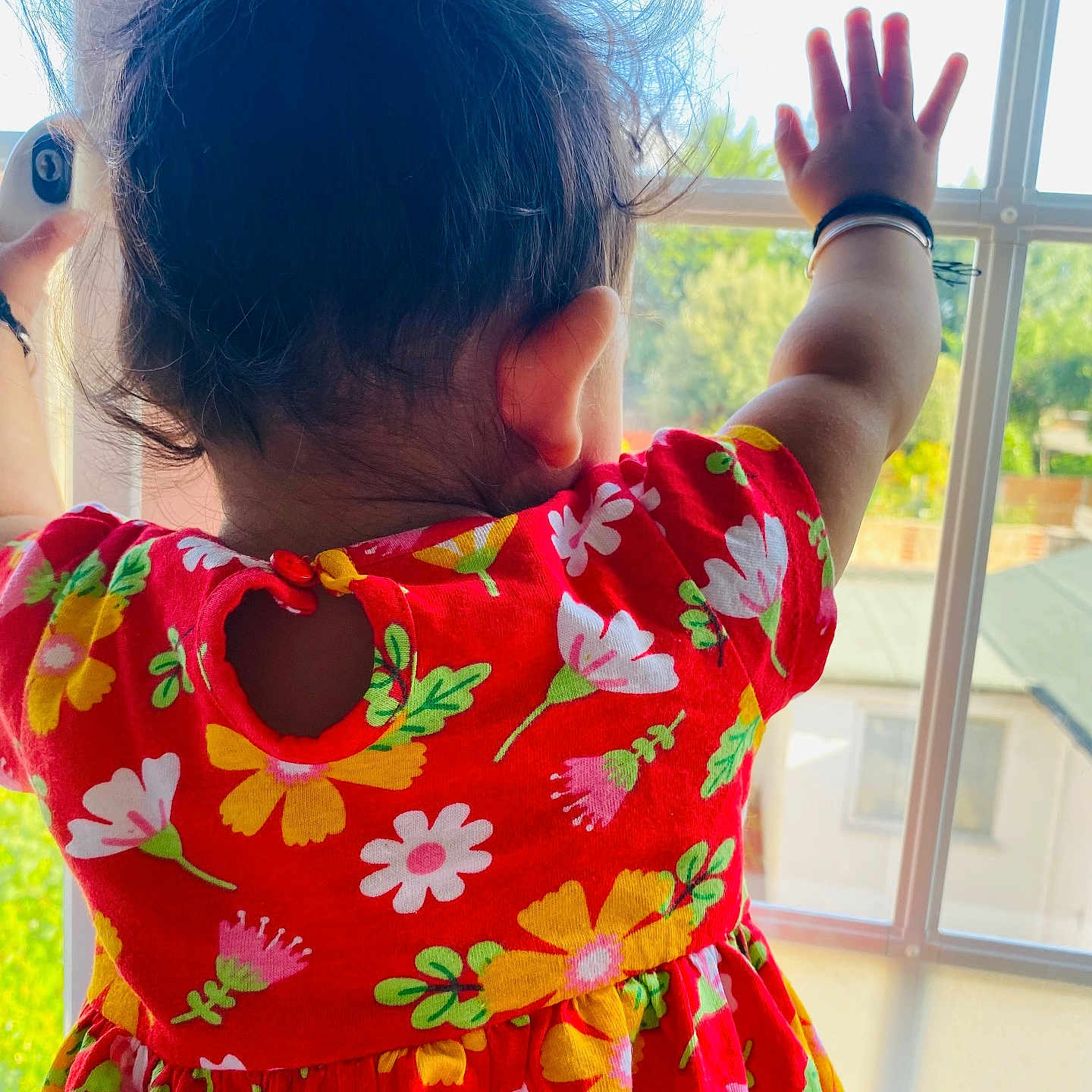 Acacia joined the competition — help win amazing prizes! arm, baby, back_view, bright, child, colorful, curtain, daylight, floral_pattern, hair, hand, home, indoor, nature_outside, person, red_dress, skin, sunlight, toddler, window