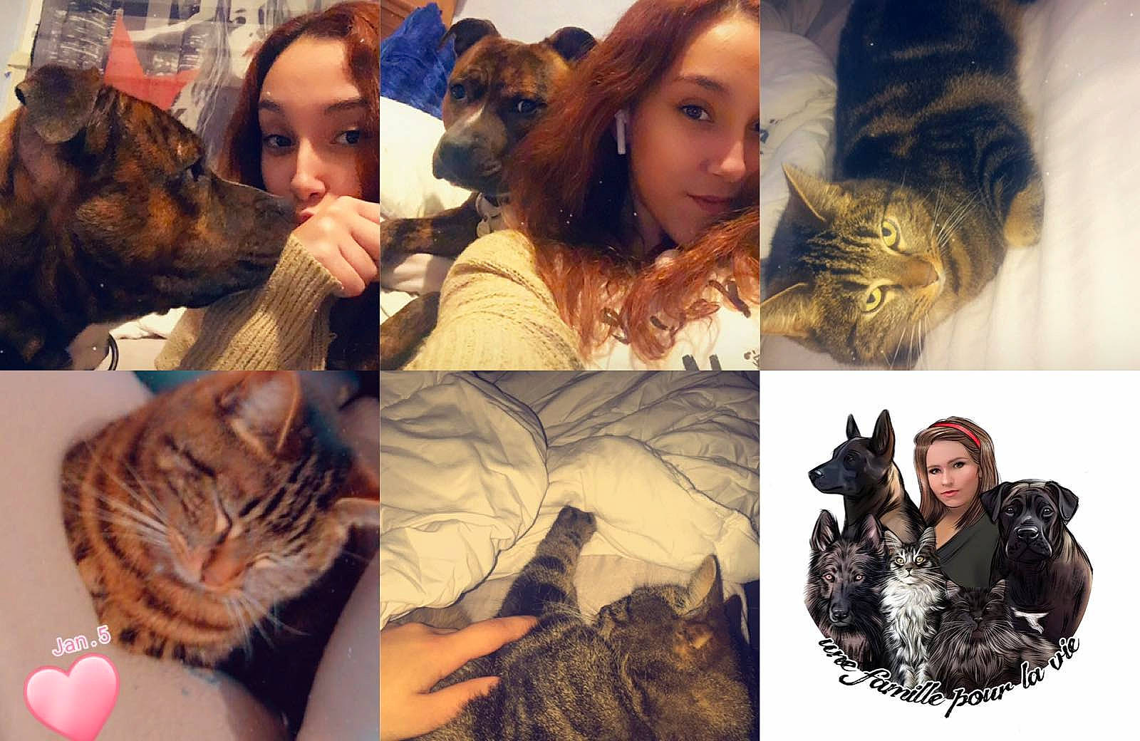 Iris a rejoint le concours — aidez-le/la à gagner de superbes lots ! animal_product, art, carnivore, cat, collage, comfort, eyelash, fawn, felidae, flash_photography, fur_clothing, hair, happy, human, mammal, organ, organism, photograph, textile, vertebrate