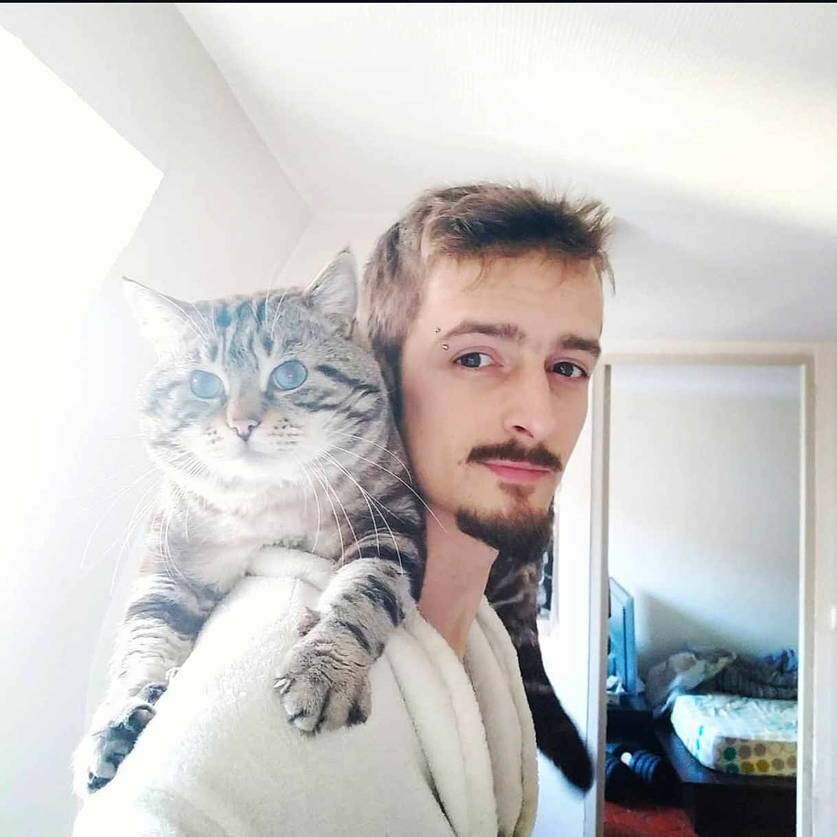 Gueubish a rejoint le concours — aidez-le/la à gagner de superbes lots ! bed, bedroom, casual, cat, facial_hair, fur, furniture, indoor, light, man, mirror, pet, piercing, portrait, relaxed, robe, shoulder, tabby_cat, whiskers, window