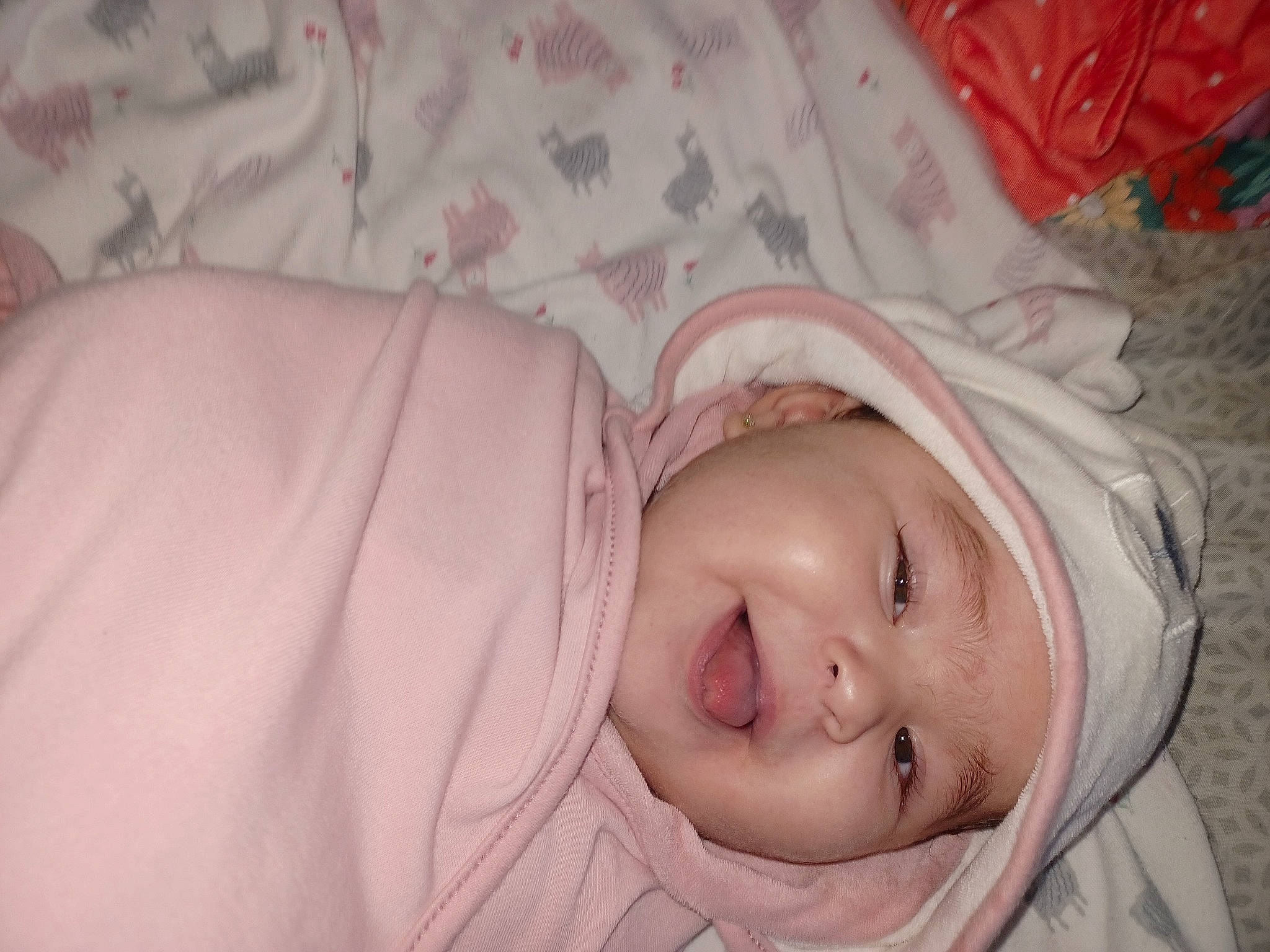 Lucelly is registered to the contest to win money with this photo: baby, baby_toddler_clothing, cheek, child, comfort, eye, eyelash, face, happy, head, headwear, human_body, iris, lip, nose, person, pink, plant, skin, smile