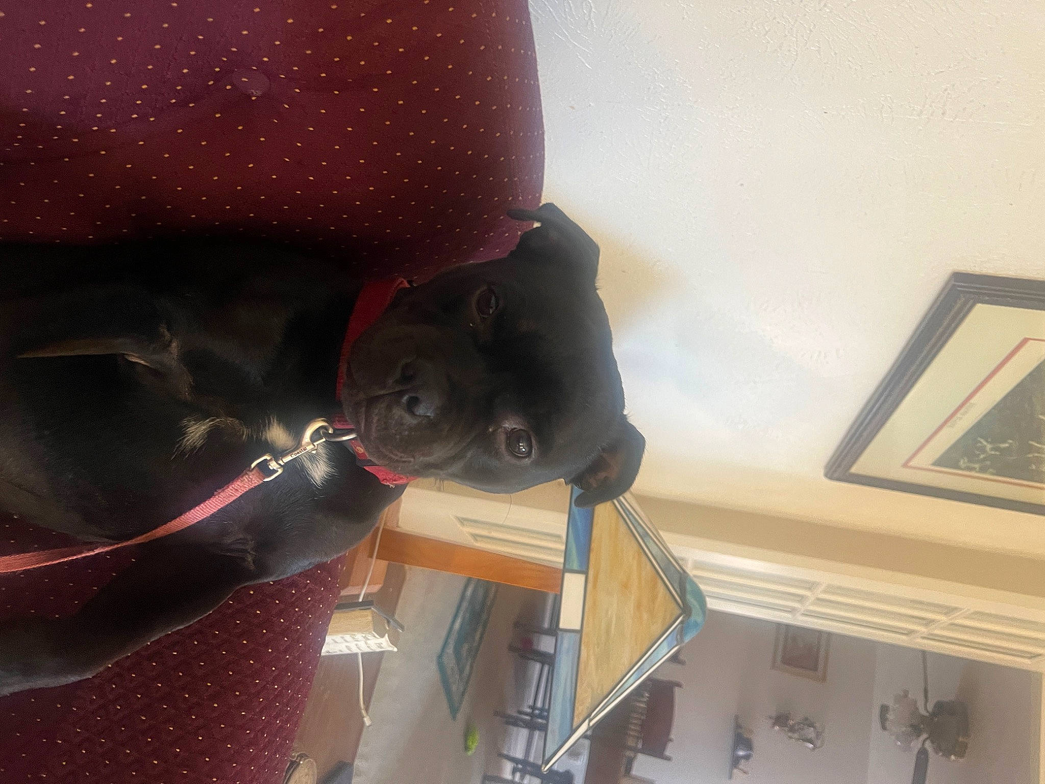 Ally is registered to the contest to win money with this photo: audio_equipment, automotive_lighting, carmine, ceiling, elbow, flooring, fun, hat, helmet, machine, magenta, material_property, personal_protective_equipment, picture_frame, room, wood