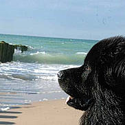 Agone participe au concours pour gagner de l'argent avec cette photo :