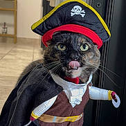 Maryluz joined the competition — help win amazing prizes! cat, pirate_costume, hat, indoor, tongue_out, costume, whiskers, pet, animal, black_cat, clothing, feline, funny, portrait, face, eyes, toy_hook, cape, floor