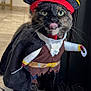 Maryluz is registered to the contest to win money with this photo: cat, costume, pirate, hat, cape, hook, indoor, floor, rug, door, tongue, pet, animal, funny, portrait, feline, whiskers, black, brown, green_eyes