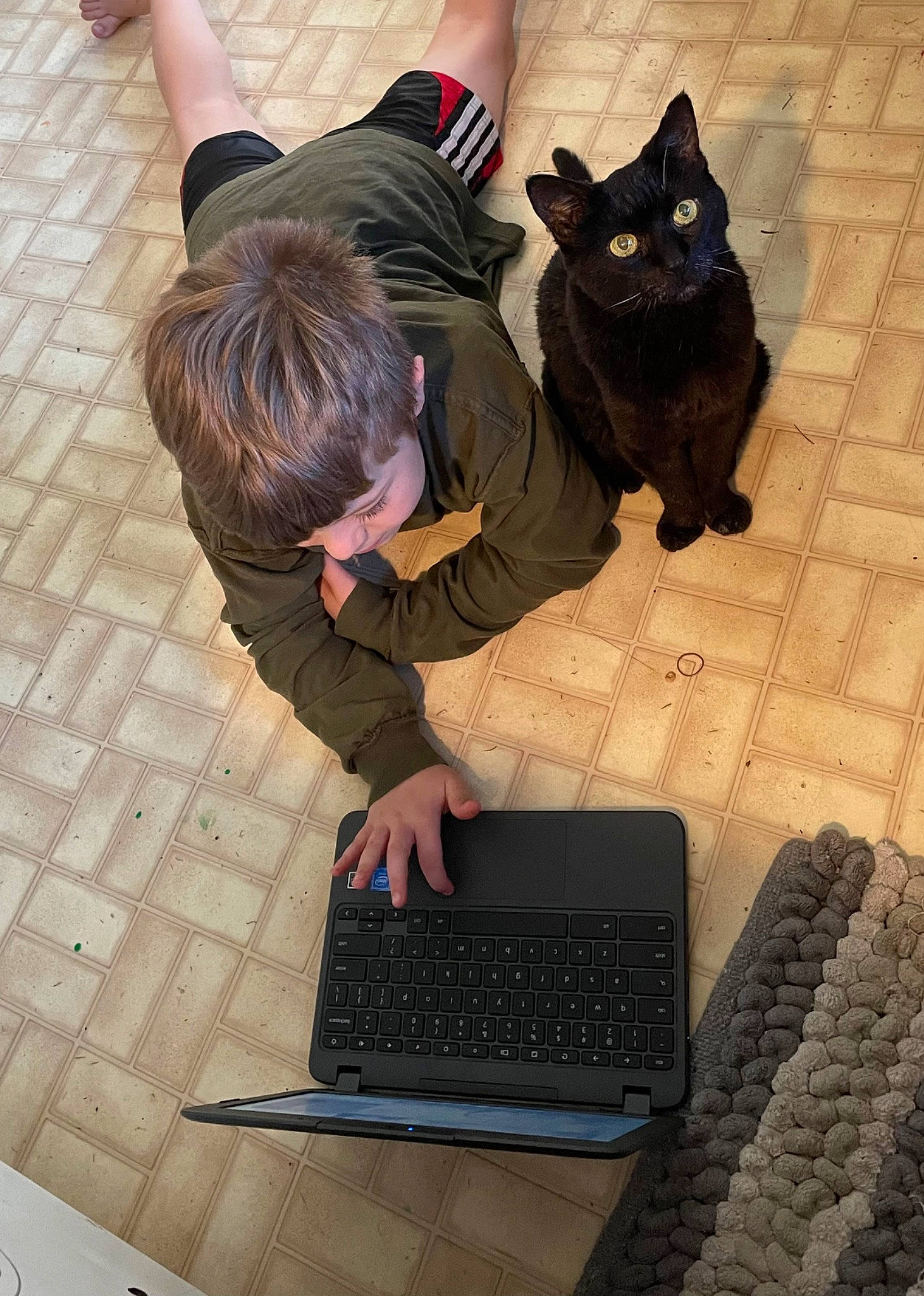 Xena Warrior Princess is registered to the contest to win money with this photo: black, carnivore, cat, electronic_instrument, felidae, floor, flooring, human_leg, input_device, laptop, leg, netbook, office_equipment, personal_computer, shoe, sitting, small_to_medium_sized_cats, space_bar, tail, whiskers