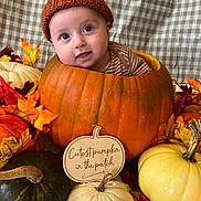 Barnaby joined the competition — help win amazing prizes! baby, pumpkin, hat, autumn, fall, leaves, orange, white_pumpkin, green_pumpkin, cute, child, smiling, cozy, seasonal, portrait, knitted_hat, wooden_sign, indoor, plaid_background, festive