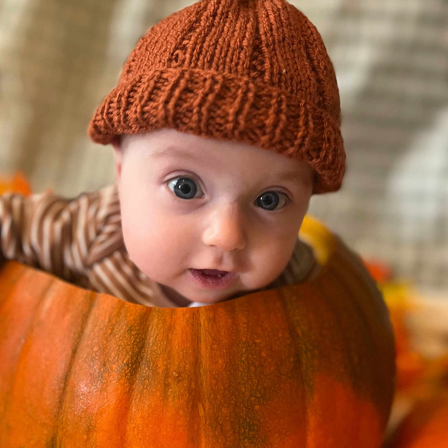 Barnaby is registered to the contest to win money with this photo: autumn, baby, child, closeup, costume, cute, expression, face, festive, fun, headwear, holiday, indoor, knitted_hat, orange, portrait, pumpkin, seasonal, wearing, young_child