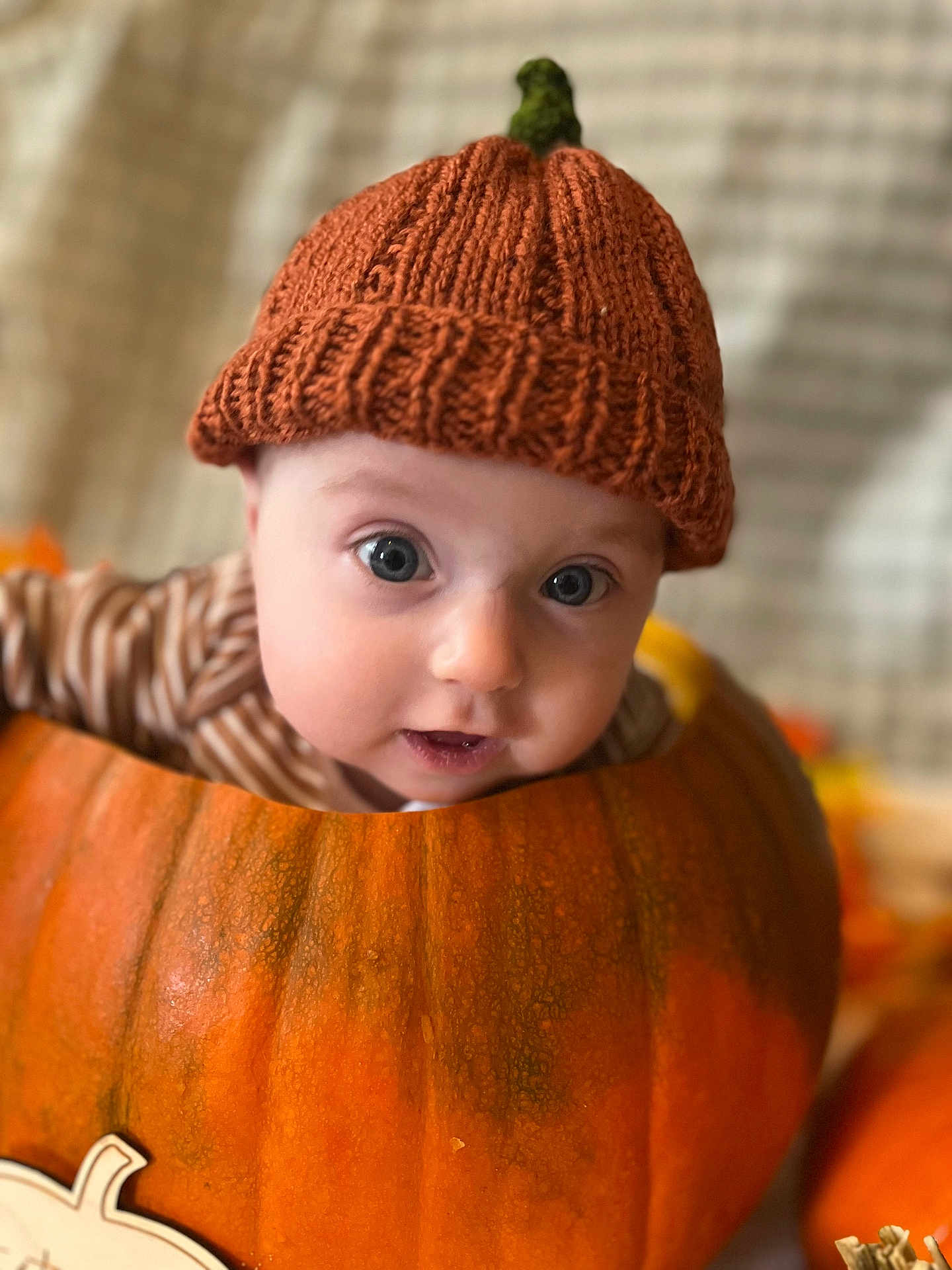 Barnaby is registered to the contest to win money with this photo: baby, pumpkin, knitted_hat, autumn, cute, child, orange, face, costume, seasonal, holiday, portrait, closeup, indoor, expression, wearing, headwear, young_child, fun, festive