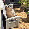 Apollo a rejoint le concours — aidez-le/la à gagner de superbes lots ! animal, backyard, bench, brown, canine, daylight, dog, furniture, garden, nature, outdoor, peaceful, pet, potted_plants, relaxing, resting, shadow, summer, sunlight, tile_floor