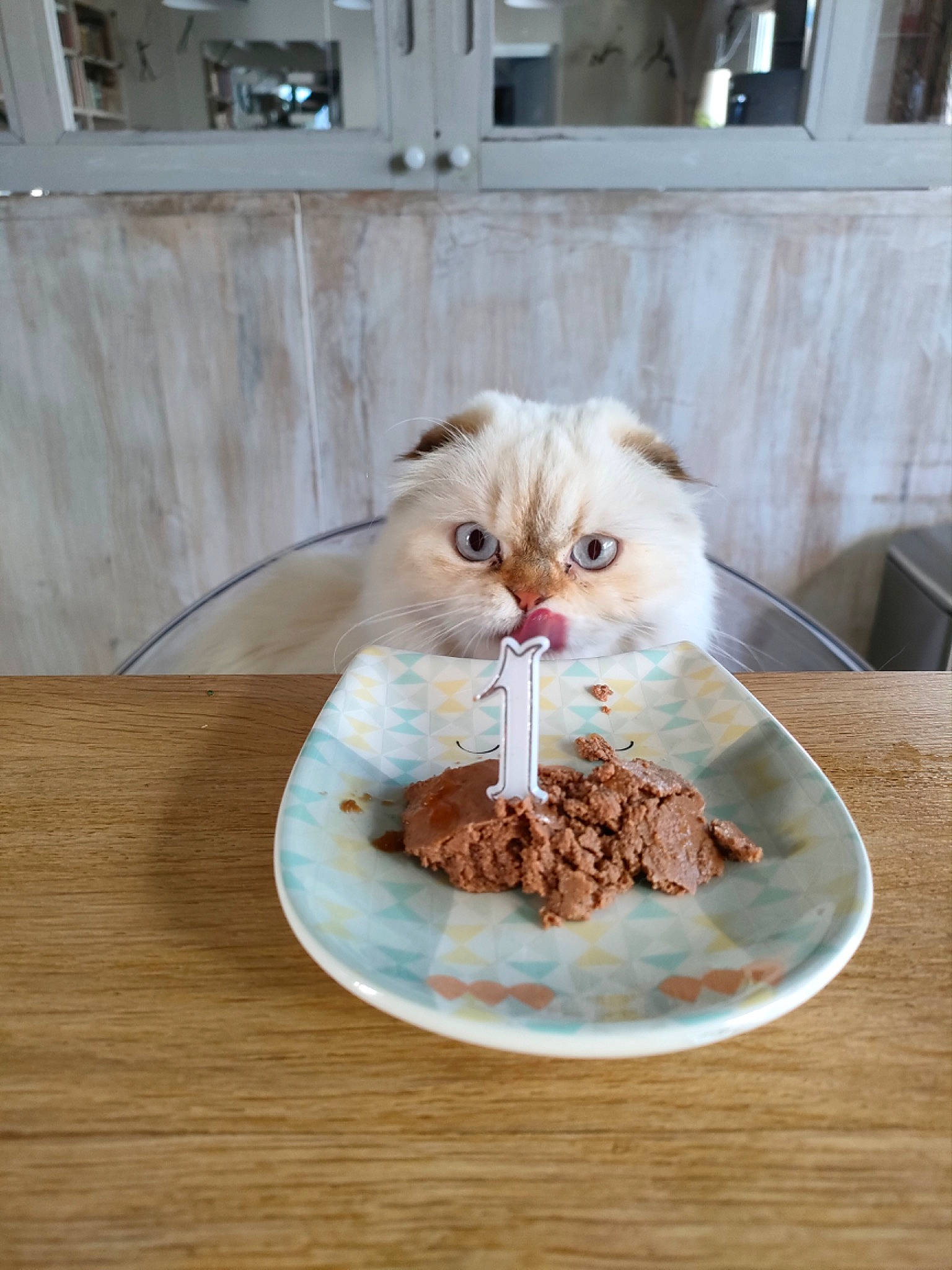 Eden participe au concours pour gagner de l'argent avec cette photo : carnivore, cat, chair, comfort_food, cuisine, dish, dishware, felidae, food, fur, hardwood, ingredient, plate, recipe, serveware, small_to_medium_sized_cats, table, tableware, whiskers, wood