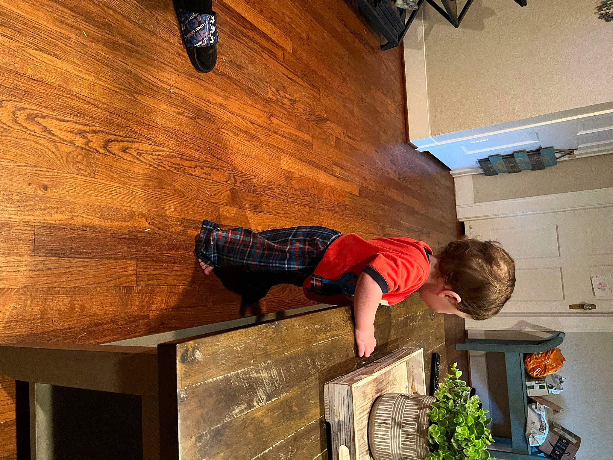 Lakota joined the competition — help win amazing prizes! brickwork, ceiling, floor, flooring, flowerpot, hardwood, hat, houseplant, laminate_flooring, person, plant, plywood, room, shorts, sneakers, t_shirt, toddler, varnish, wood, wood_flooring