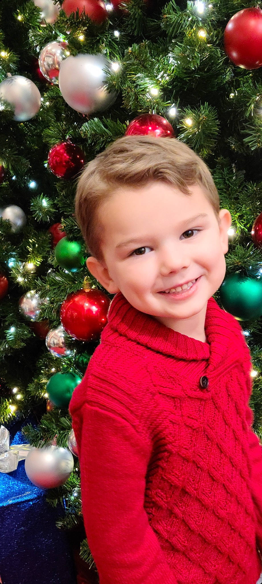 Braydon joined the competition — help win amazing prizes! christmas_decoration, christmas_ornament, christmas_tree, green, hair, happy, head, holiday_ornament, human_body, joy, organ, ornament, people_in_nature, person, photograph, plant, red, sleeve, smile, standing