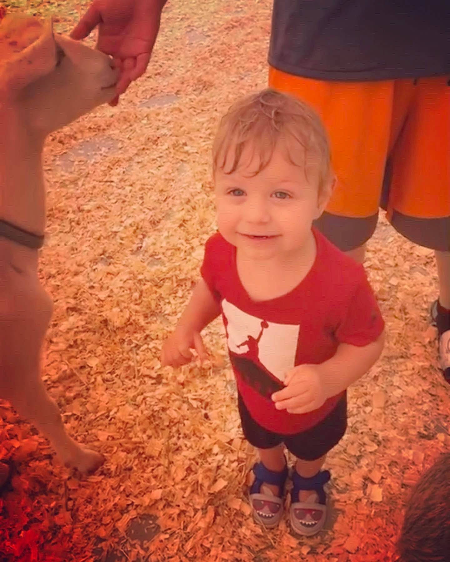 Xander joined the competition — help win amazing prizes! child, finger, friendship, fun, gesture, grass, hand, happy, head, human_leg, joy, leg, mammal, muscle, people_in_nature, person, shorts, smile, sneakers, thumb