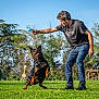 man, dog, rottweiler, playing, fetch, ball, outdoor, grass, park, happy, jumping, pet, animal, exercise, casual_clothing, sunny, daytime, trees, nature, fun